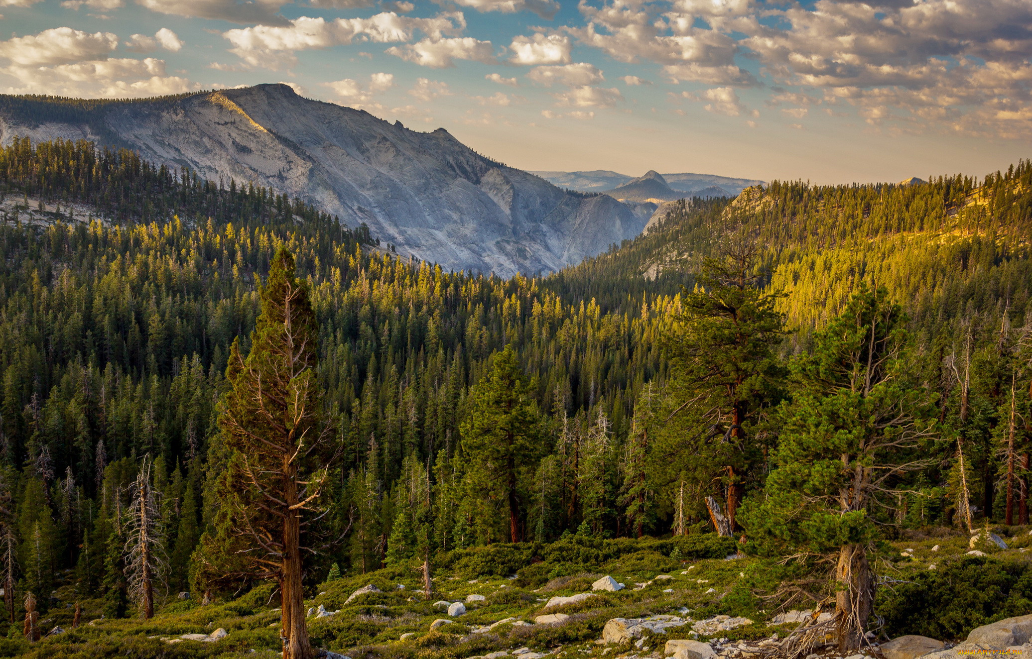 california, yosemite, national, park, , , 